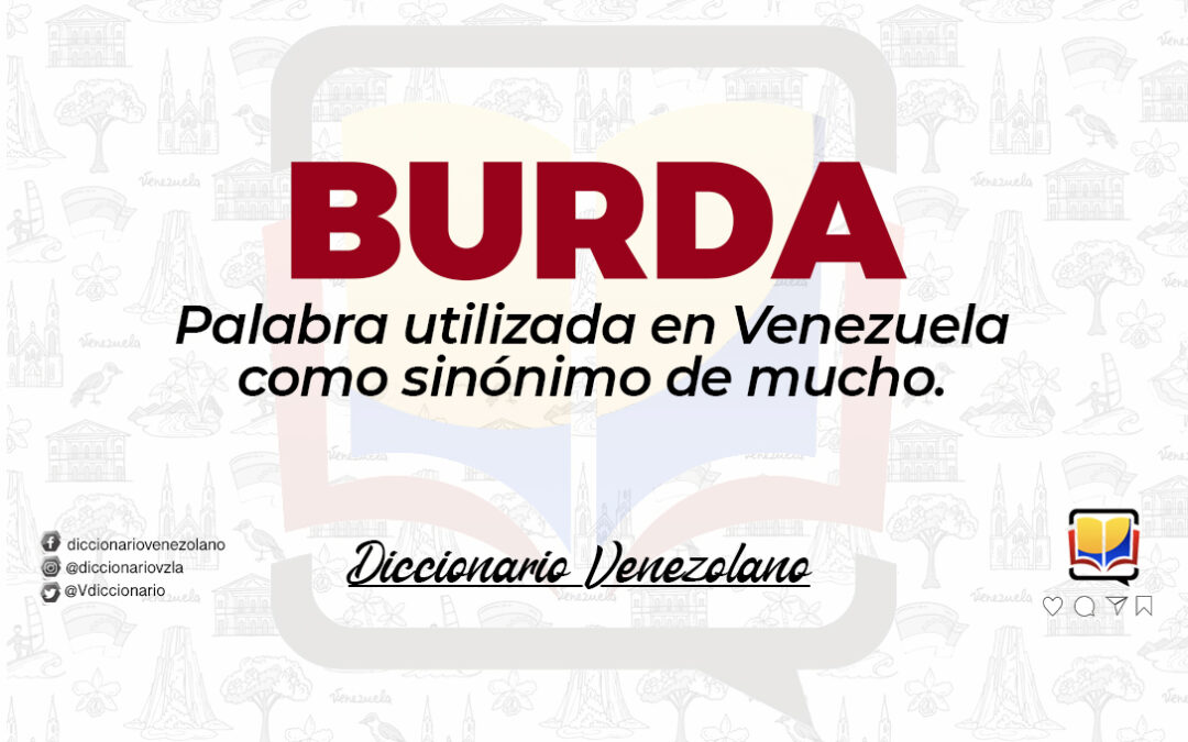 Significado de la palabra Burda