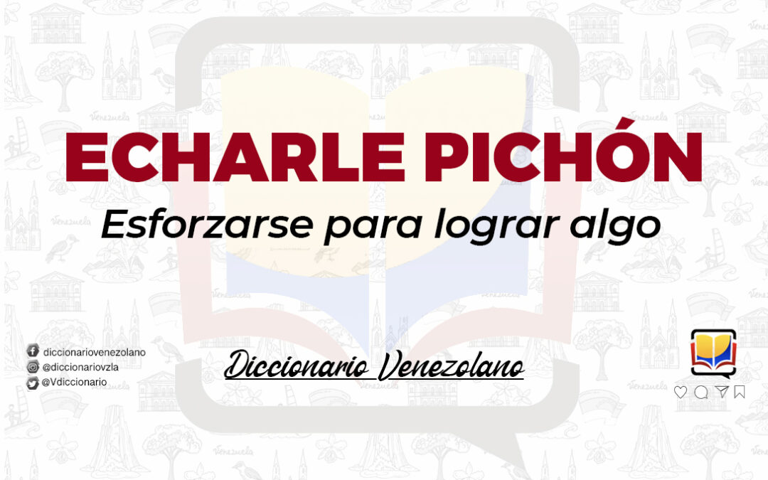 Significado de la expresión Echarle pichón